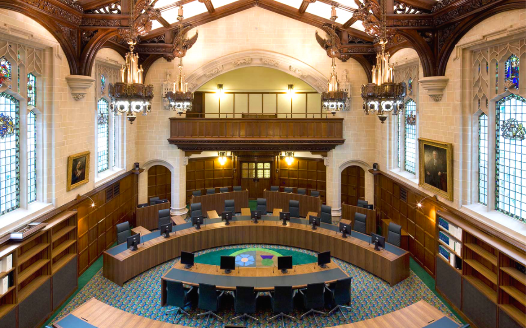 Human Rights, Judicial Review, and the State: When Will The Power Grab End?