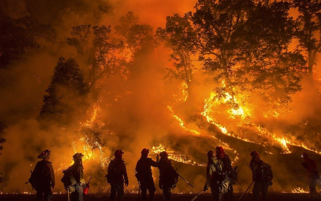 Battling Climate Anxiety