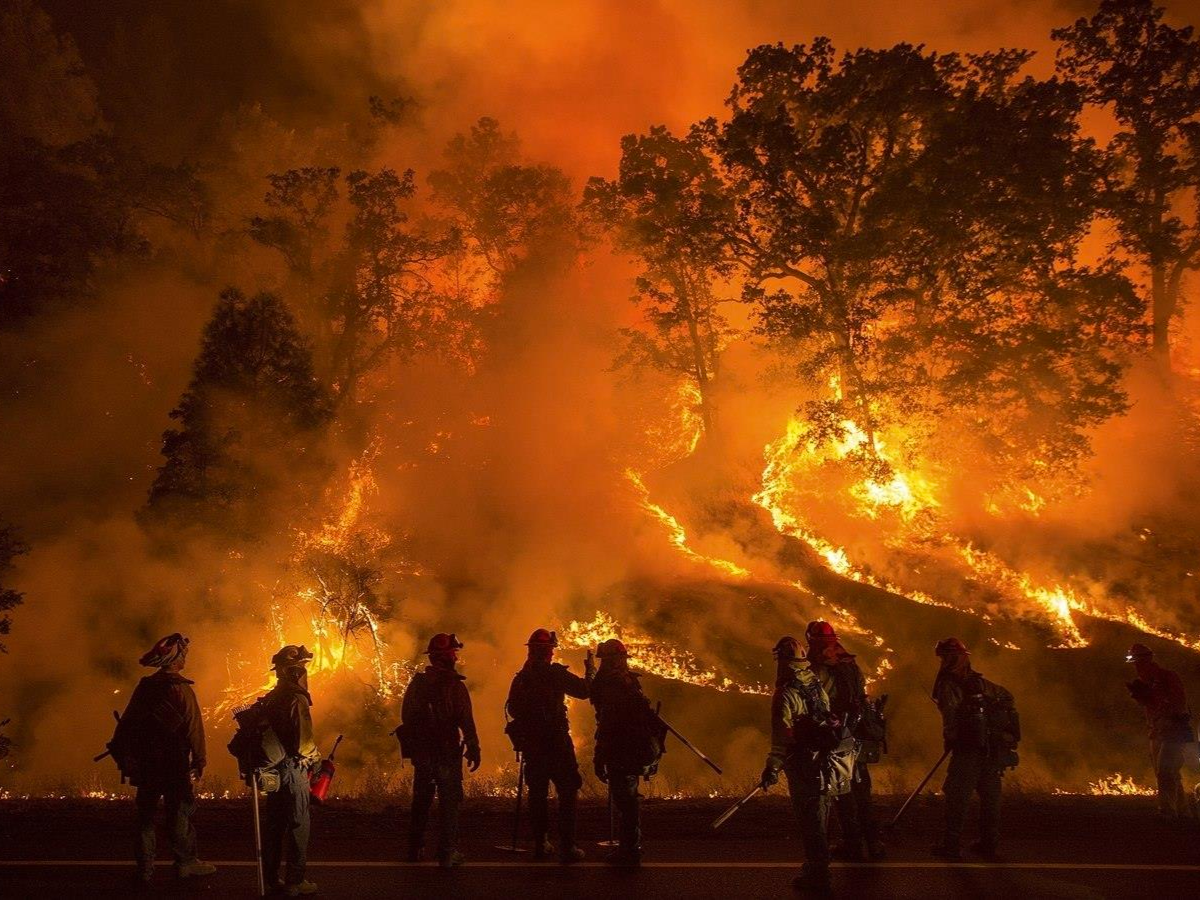 Battling Climate Anxiety